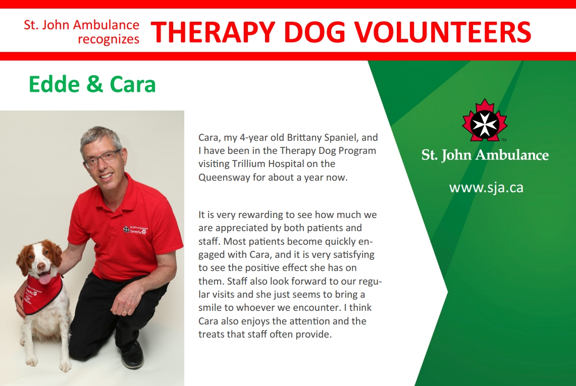 therapy dog st john ambulance